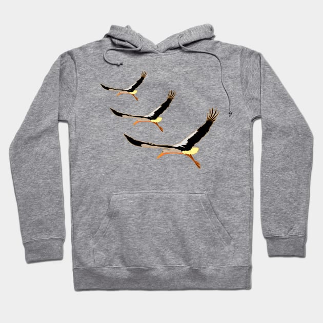 three beautiful storks Hoodie by momomoma